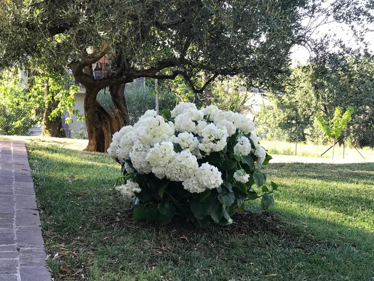 Antica Fonte Holiday Home Tavullia Exterior photo